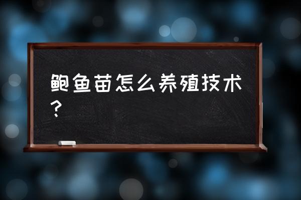 鲍鱼如何养一两天 鲍鱼苗怎么养殖技术？