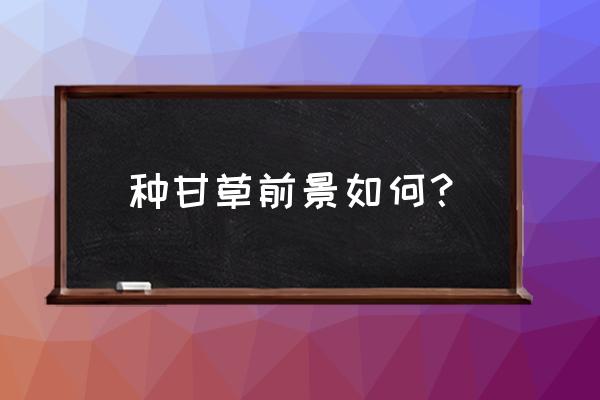 一亩甘草能收多少斤 种甘草前景如何？