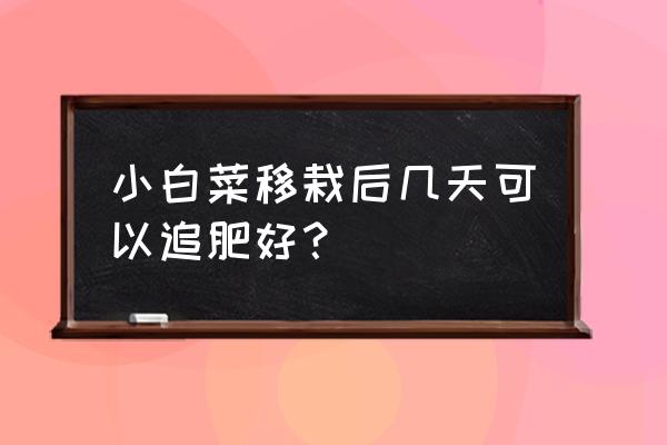 白菜什么时间施肥最好 小白菜移栽后几天可以追肥好？