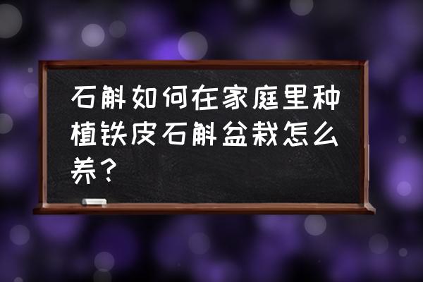 铁皮石斛最简单栽培技术 石斛如何在家庭里种植铁皮石斛盆栽怎么养？