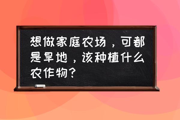 农场种植什么作物最好 想做家庭农场，可都是旱地，该种植什么农作物？