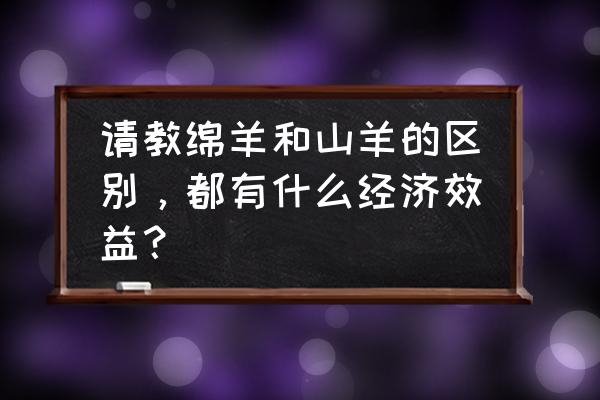 山羊贵还是绵羊贵 请教绵羊和山羊的区别，都有什么经济效益？