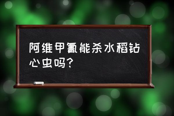 水稻潜叶蝇最佳防治方法 阿维甲氰能杀水稻钻心虫吗？