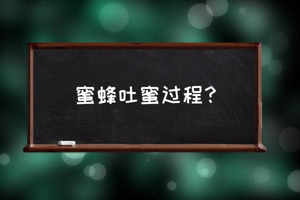 蜜蜂的消化系统 蜜蜂吐蜜过程？