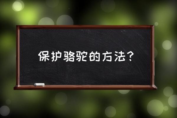 马能用伊维菌素驱虫吗 保护骆驼的方法？