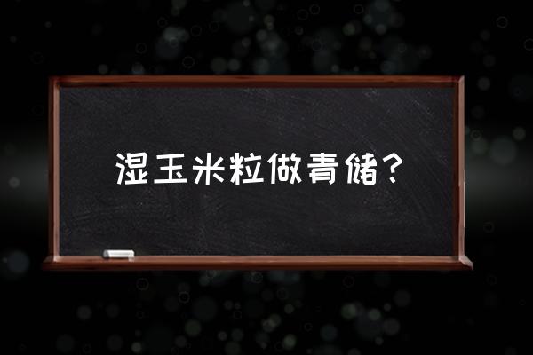 创意手工玉米穗怎么做 湿玉米粒做青储？