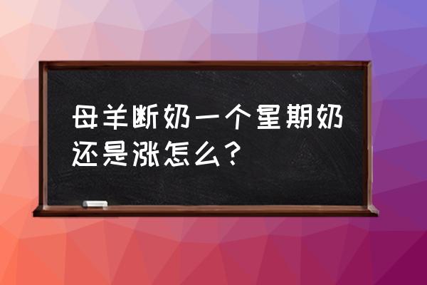 给母羊喂什么药让它回奶 母羊断奶一个星期奶还是涨怎么？