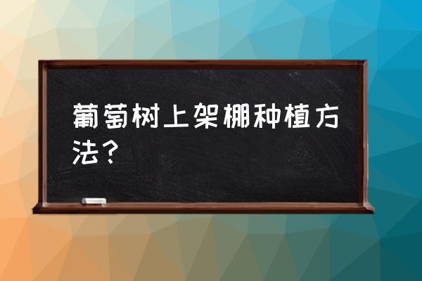 第一年庭院葡萄树怎样快速上架 葡萄树上架棚种植方法？