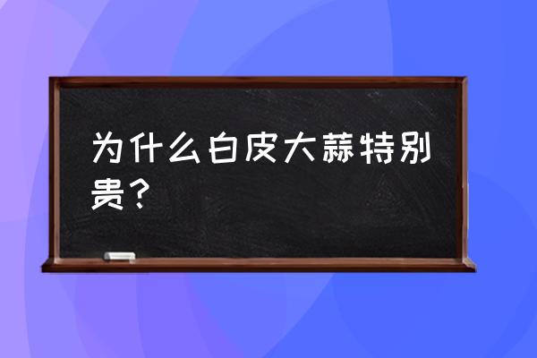 大蒜怎么买省钱 为什么白皮大蒜特别贵？