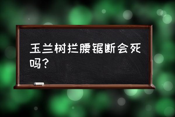 无根玉兰花可以扦插吗 玉兰树拦腰锯断会死吗？