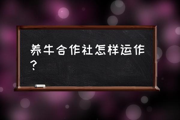 合作社和公司怎么合作 养牛合作社怎样运作？