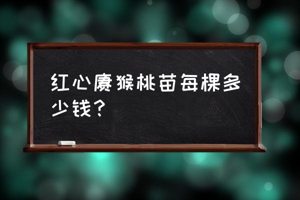 一米以上的猕猴桃树苗价格 红心猕猴桃苗每棵多少钱？