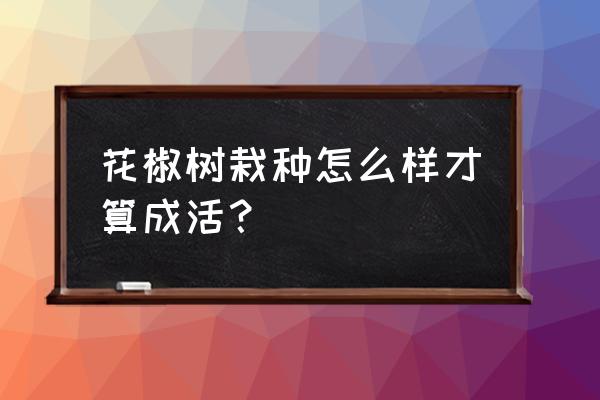 刚买的花椒苗怎么种植 花椒树栽种怎么样才算成活？