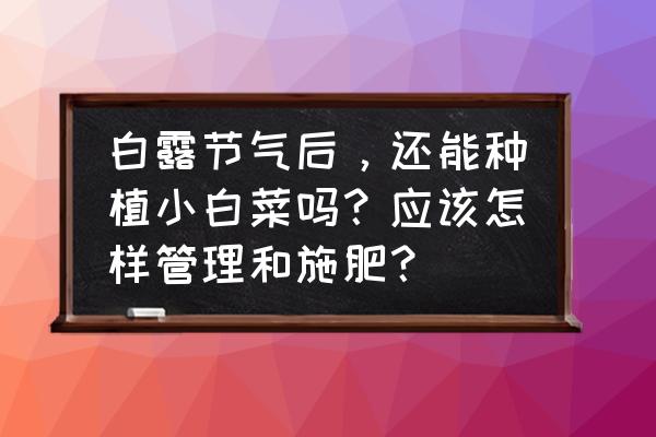 秋季蔬菜种植和栽培技术 白露节气后，还能种植小白菜吗？应该怎样管理和施肥？