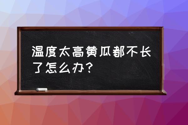 大棚黄瓜长秧不长瓜怎么回事 温度太高黄瓜都不长了怎么办？