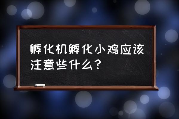 孵化机孵化小鸡技术 孵化机孵化小鸡应该注意些什么？