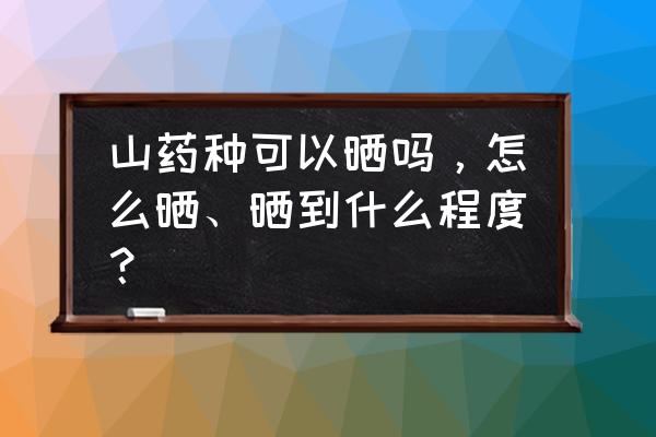 正宗反沙山药配方 山药种可以晒吗，怎么晒、晒到什么程度？