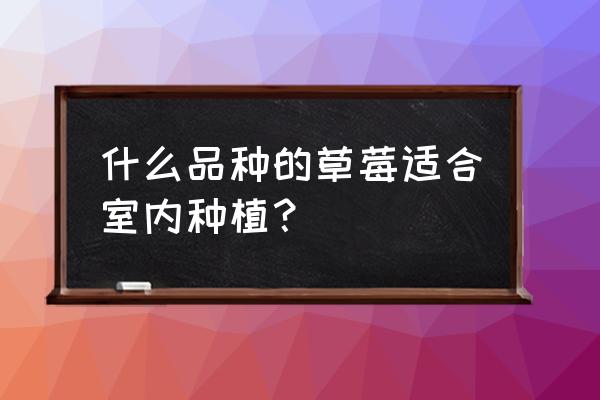 适合家庭阳台种植的草莓 什么品种的草莓适合室内种植？