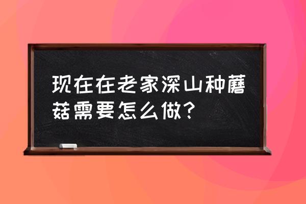 学种蘑菇 现在在老家深山种蘑菇需要怎么做？