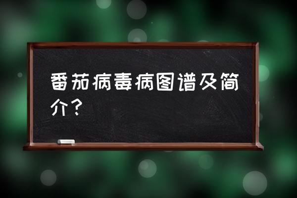 番茄病毒病防治措施有哪些 番茄病毒病图谱及简介？