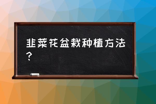 盆栽韭菜的留种方法 韭菜花盆栽种植方法？