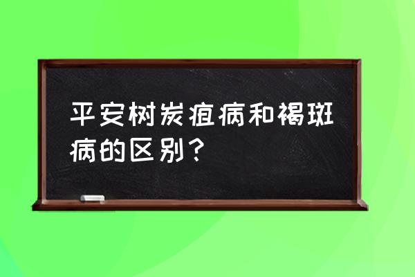 柑橘炭疽病和褐斑病有什么区别 平安树炭疽病和褐斑病的区别？