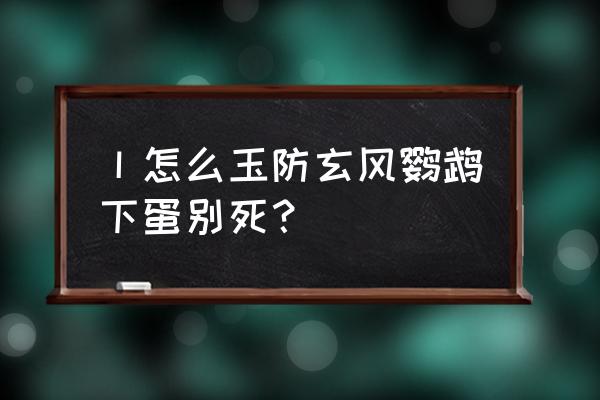 在家里用笼子养鸡怎么生蛋多 丨怎么玉防玄风鹦鹉下蛋别死？