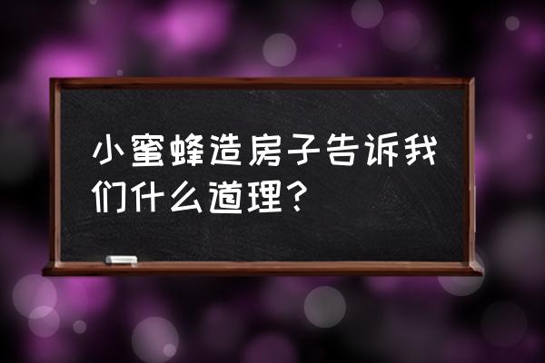 小蜜蜂防御游戏 小蜜蜂造房子告诉我们什么道理？