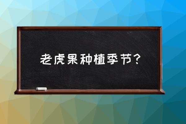 黑老虎果食用步骤图 老虎果种植季节？