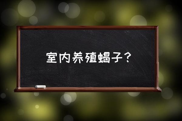 养蝎子赚钱吗好养吗需要多大场地 室内养殖蝎子？