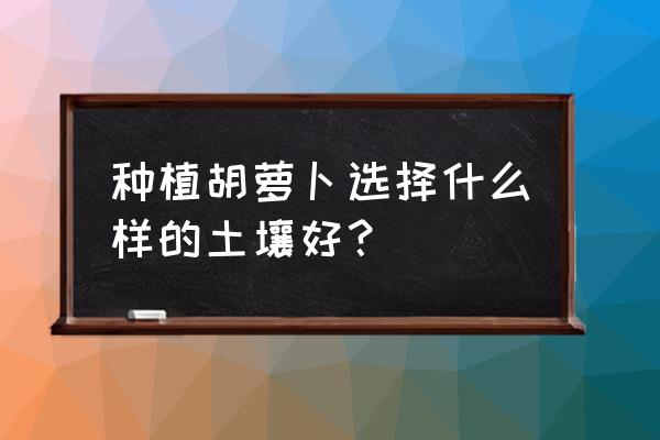 粘土手工胡萝卜兔 种植胡萝卜选择什么样的土壤好？