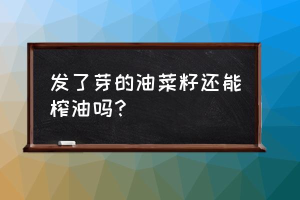 下雨油葵脱粒好还是不脱粒好 发了芽的油菜籽还能榨油吗？