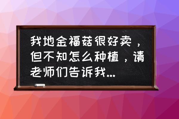 填方边坡拱形骨架施工顺序 我地金福菇很好卖，但不知怎么种植，请老师们告诉我栽培方法？