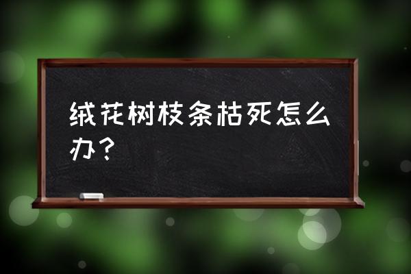 大树用什么药灌根彻底枯死 绒花树枝条枯死怎么办？