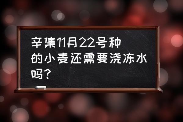 小麦浇冻水多了有什么危害 辛集11月22号种的小麦还需要浇冻水吗？