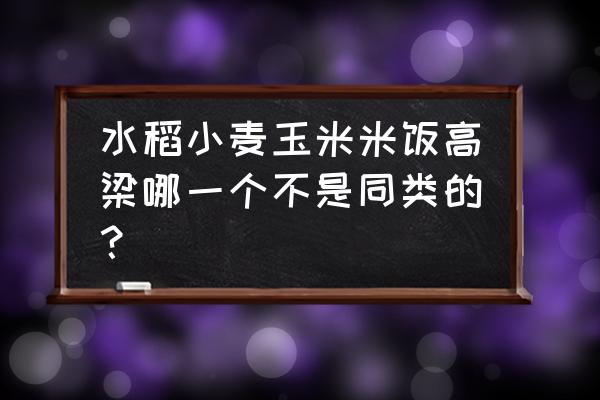 我国的水稻主要成分是淀粉对么 水稻小麦玉米米饭高梁哪一个不是同类的？