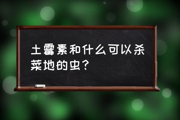 杀虫最快的土办法蔬菜 土霉素和什么可以杀菜地的虫？