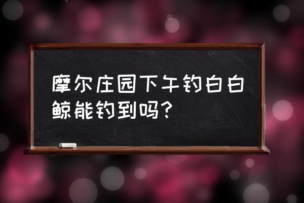 摩尔庄园手游热气球怎么获得 摩尔庄园下午钓白白鲸能钓到吗？