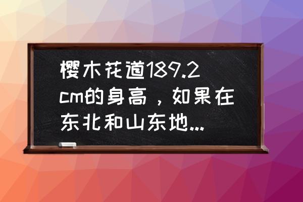 灌篮高手樱木花道稀有皮肤 樱木花道189.2cm的身高，如果在东北和山东地区算高个子吗？