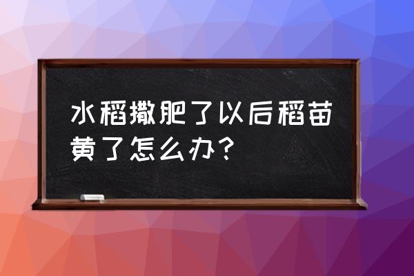 秧苗叶子发黄用什么药治 水稻撒肥了以后稻苗黄了怎么办？