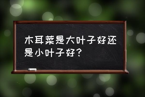 木耳菜怎么种才能使叶子肥厚 木耳菜是大叶子好还是小叶子好？