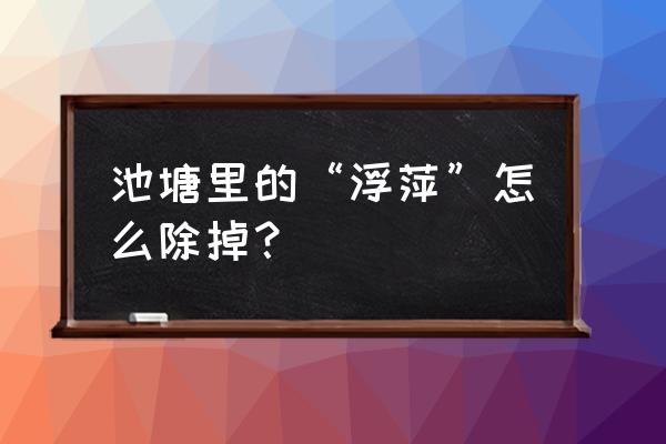 鱼塘去除浮萍的方法 池塘里的“浮萍”怎么除掉？