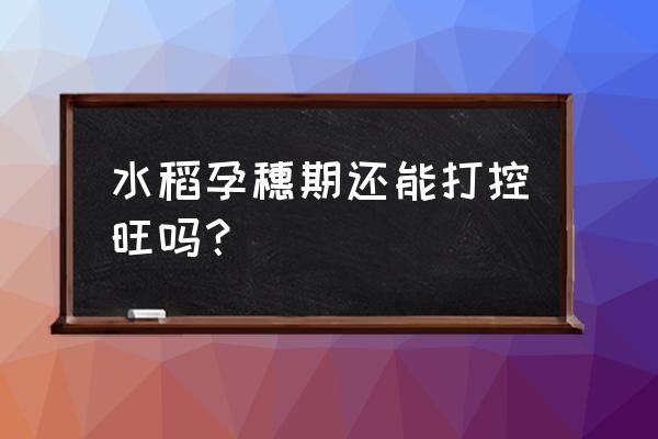 水稻孕穗期施肥用什么肥料 水稻孕穗期还能打控旺吗？