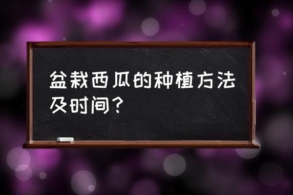 在阳台种西瓜的办法 盆栽西瓜的种植方法及时间？