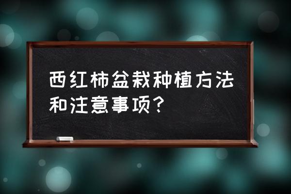 种植西红柿的9个独门技巧 西红柿盆栽种植方法和注意事项？