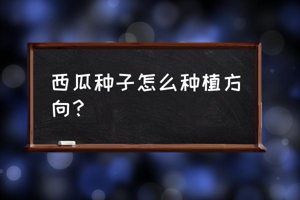 花盆如何种西瓜 西瓜种子怎么种植方向？