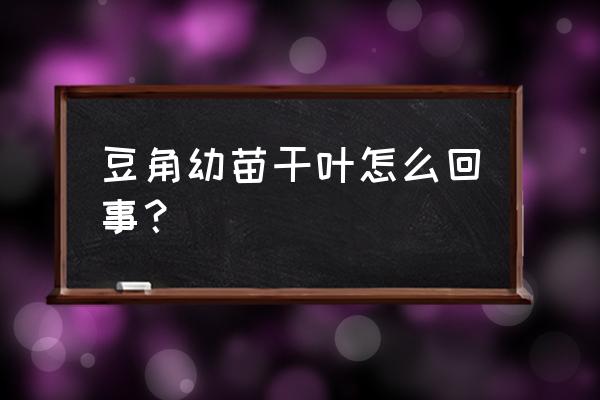 无架豆角出现卷叶是什么病害 豆角幼苗干叶怎么回事？