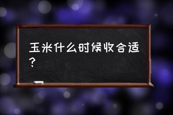 玉米的最佳收获时间是什么时间 玉米什么时候收合适？