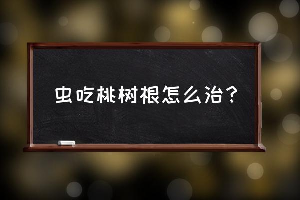 吃桃子把虫子吃到肚子里了怎么办 虫吃桃树根怎么治？