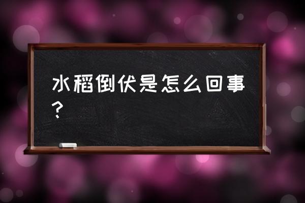 枯死树木倒伏 水稻倒伏是怎么回事？